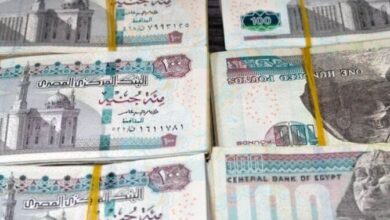 بعائد 22%.. شهادات الادخار في بنك مصر والبنك الأهلي أونلاين – الأسبوع