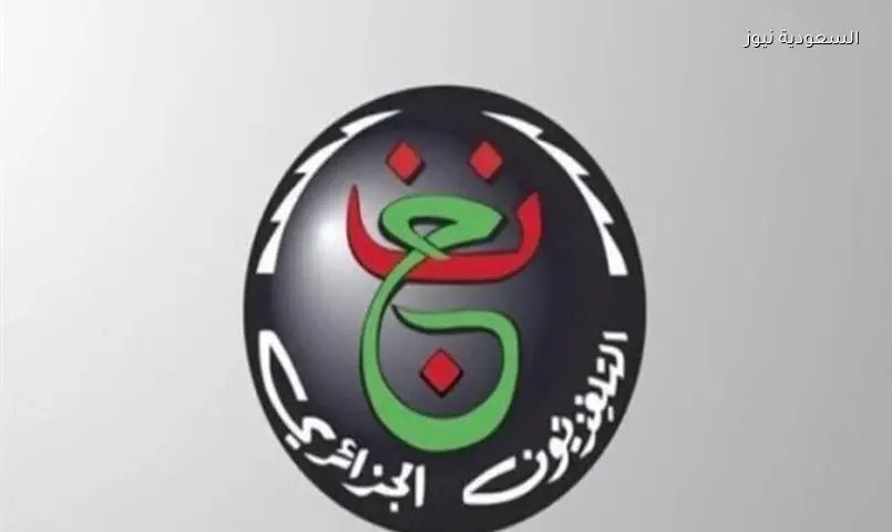 شاهد مباراة مصر وبلجيكا مجانًا: تردد قناة الجزائرية الرياضية اليوم