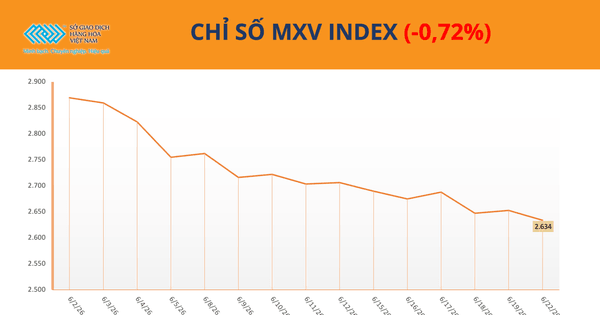 قفزة في أسعار الكاكاو تتجاوز 9% تزامناً مع تراجع مؤشر MXV