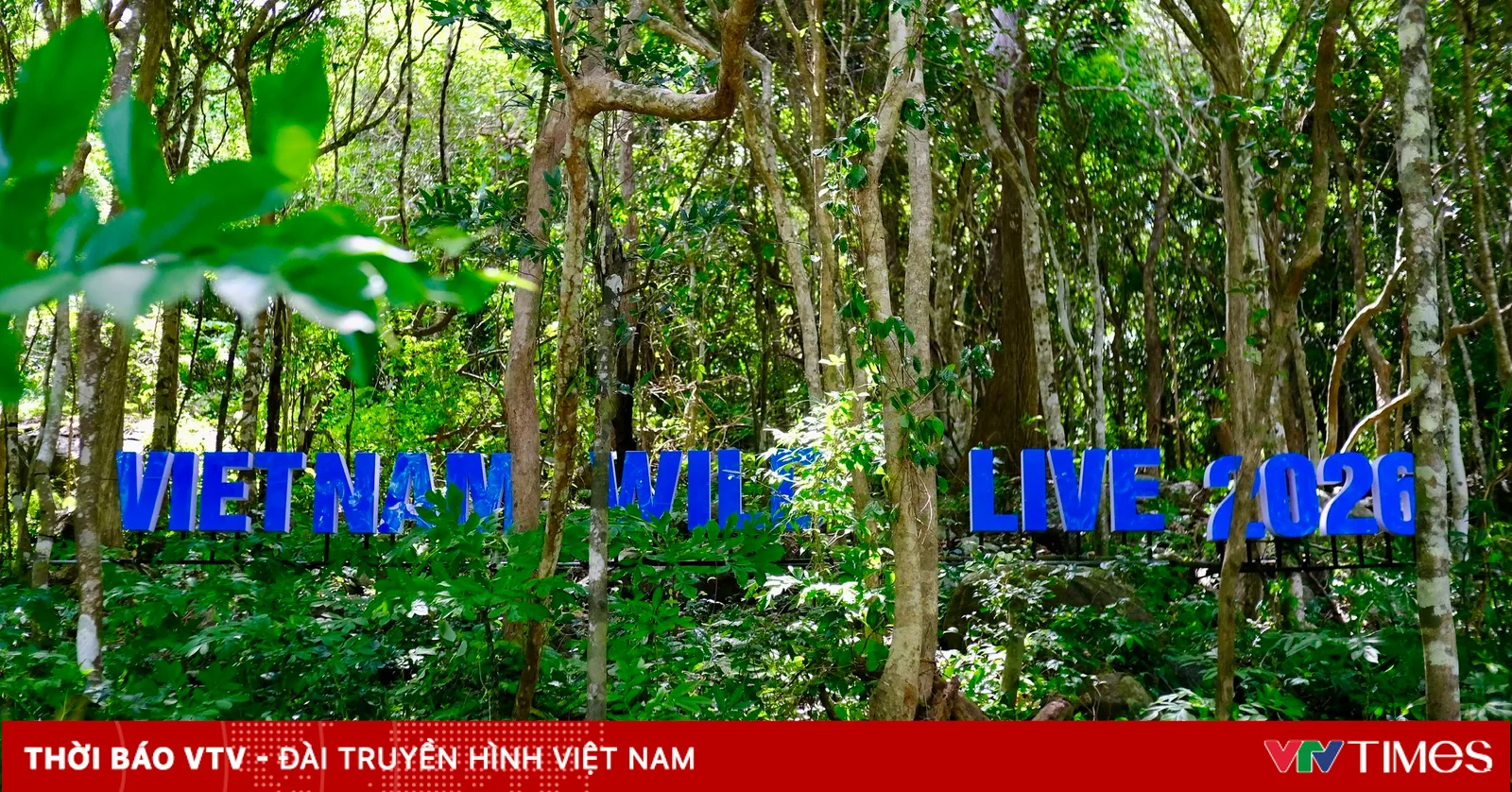 لقطات حصرية من كواليس برنامج Vietnam Wild Live على قناة VTV قبل البث المباشر
