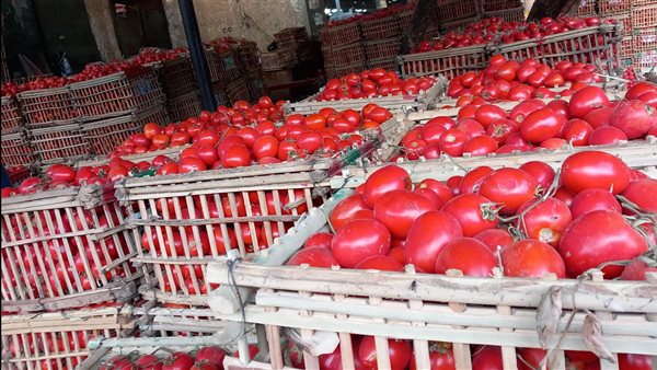 أسعار الخضراوات اليوم الجمعة انخفاض كبير في سعر الطماطم وعبوات الخضروات