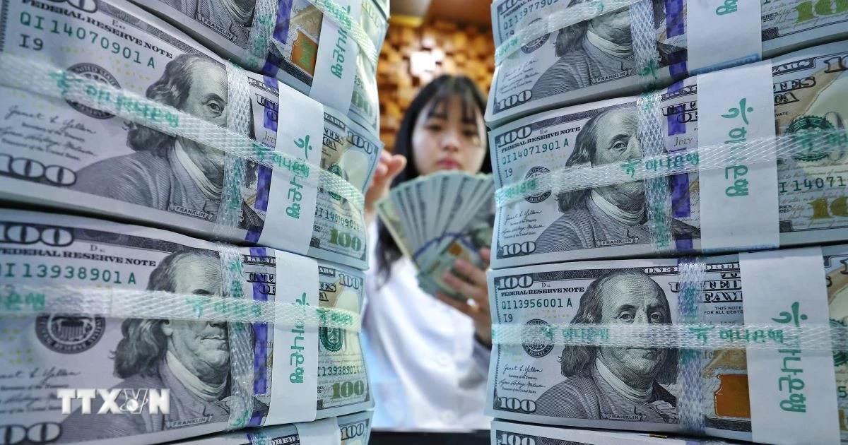 توقعات رفع الفائدة تدفع الدولار الأمريكي لأعلى مستوى في 13 شهراً