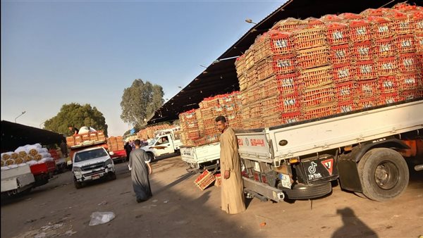 أسعار الخضروات في سوق العبور اليوم الطماطم بـ 4 جنيهات والليمون بـ 10 جنيهات
