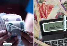 5 بنوك تواصل طرح شهادات ادخار بعائد مقدم يصل إلى 39%