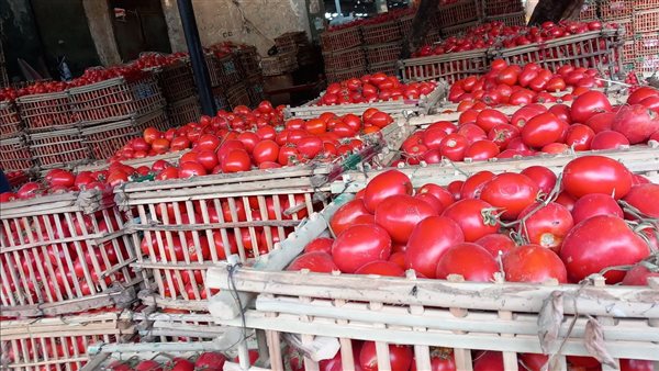 أسعار الخضروات اليوم الثلاثاء الطماطم تسجل 135 جنيه والبصل 12 جنيهات