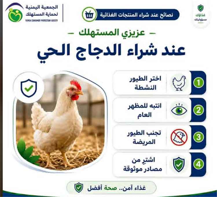 تحذيرات عاجلة من حماية المستهلك في اليمن بشأن انتشار مرض النيوكاسل الخطير بين الدواجن