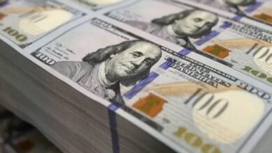 أسعار الدولار بالبنوك المصرية الجمعة 12 يونيو 2026