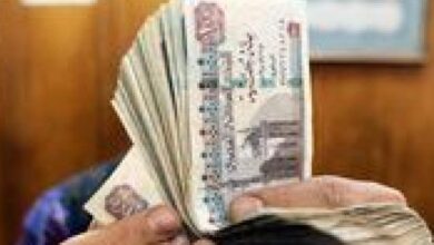 أعلى شهادة استثمار في البنوك 2026.. عوائد تصل إلى 100%