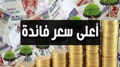 أعلى عائد في 2026.. مميزات شهادة الادخار سند الجديدة بعد قرار المركزي (أرباح الـ100 ألف كام؟)