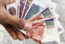 أفضل شهادات ادخار لكبار السن وأصحاب المعاشات 2026.. دخل ثابت وعوائد مرتفعة – الأسبوع