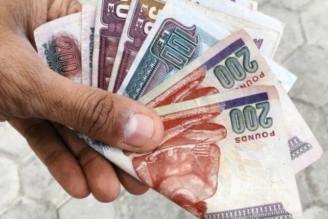 أفضل شهادات ادخار لكبار السن وأصحاب المعاشات 2026.. دخل ثابت وعوائد مرتفعة – الأسبوع