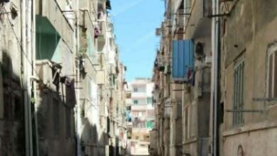 اخبارك نت | تطوير شامل لمنظومة الصرف الصحي بمساكن النصر في الإسكندرية بعد جولة المحافظ
