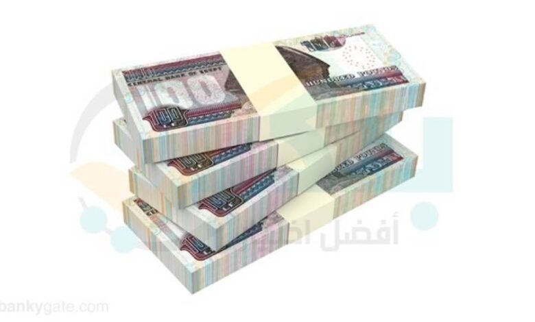 القروض المباشرة بالبنوك المدرجة بالبورصة ترتفع لـ762.39 مليار جنيه بالربع الأول من 2026.. "CIB الأعلي قيمة والمصرف المتحد الأسرع نموًا"