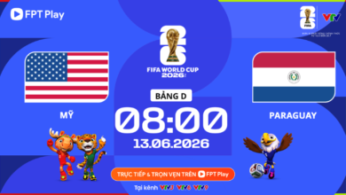 الولايات المتحدة الأمريكية ضد باراغواي (8:00 صباحًا، 13 يونيو، المجموعة د، كأس العالم 2026): لن يكون الفوز سهلاً على الفريق المضيف.