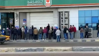 تفاصيل عوائد الشهادة البلاتينية من البنك الأهلي بنسبة 17.25 بالمئة لمئة ألف جنيه