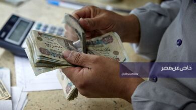 دخل شهري 20 ألف جنيه من البنوك.. كم تحتاج للاستثمار في شهادات الأهلي ومصر؟