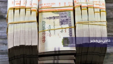 راتب شهري 20 ألف جنيه.. أفضل شهادات الادخار في البنوك المصرية بعد فتوى الإفتاء بجوازها