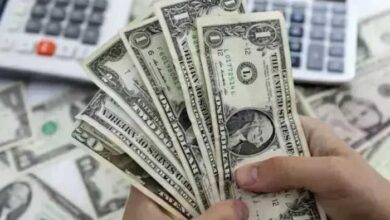 سعر الدولار اليوم الجمعة 12 يونيو 2026 في البنوك.. تحديث لحظي