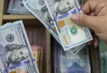 سعر الدولار اليوم يسجل استقرارا ملحوظا قرب مستوى 52 جنيها مع بداية تعاملات سوق الصرف المصري
