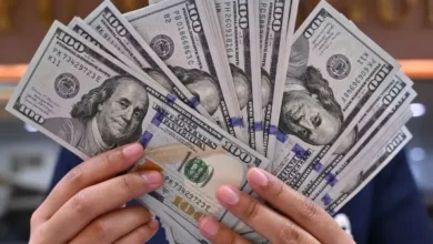 سعر الدولار مقابل الجنيه المصري اليوم الثلاثاء 9 يونيو 2026 في البنوك بعد استقرار أسعار الصرف