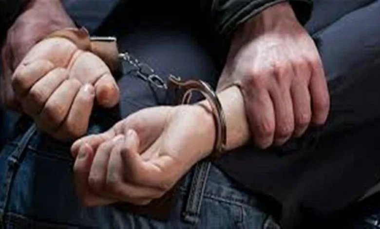 سقوط عنصرين إجراميين في قبضة أمن الدقهلية وبحوزتهما كميات من المواد المخدرة وأسلحة نارية خطيرة