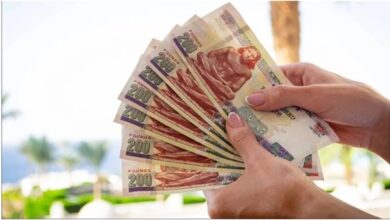 شهادة البنك الأهلي البلاتينية بعائد 17.25% وحساب أرباح 100 ألف جنيه شهريًا