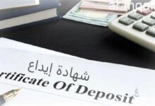 كشف حساب شهادات الإيداع الدولية.. الصدارة لـ”CIB” والطاقة القصوى لـ”مدينة مصر”