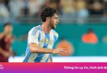 نجم توتنهام يتأهل لكأس العالم بفارق ضئيل.