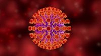 وزارة الصحة تؤكد خلو مصر من إصابات الإيبولا وترفع درجة الاستعداد في كافة المنافذ الحدودية