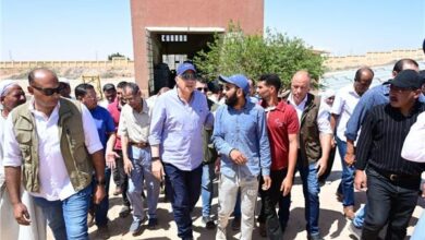 وزير الري من الإسكندرية: خطة عاجلة للقضاء على ورد النيل خلال عام