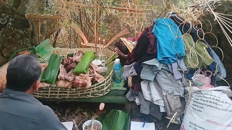 حين تصبح حماية الغابة إرثاً تتوارثه الأجيال