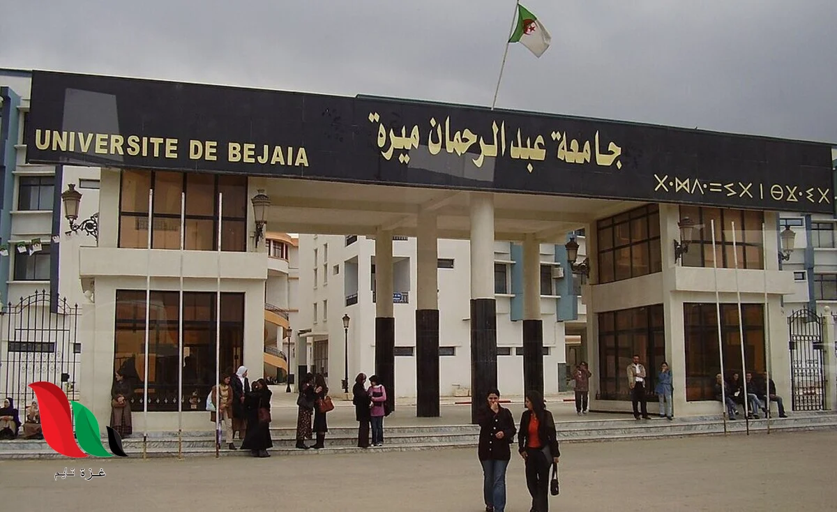 طريقة التسجيل في منحة البطالة بالجزائر 2026 وشروط الاستفادة الجديدة للمستحقين
