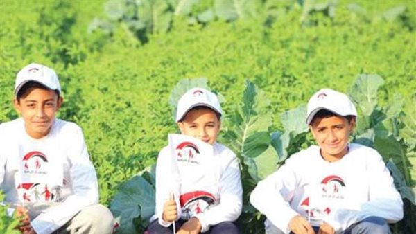 تحديث قواعد بيانات الدعم النقدي لتعزيز العدالة الاجتماعية وتحقيق التنمية المستدامة