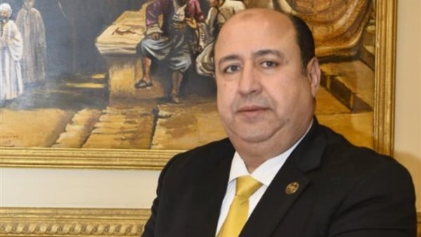 برلماني يصف ثورة يوليو بالمحطة الفارقة في تاريخ مصر