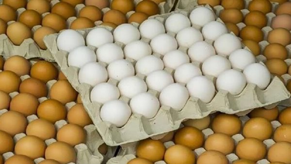 مفاجأة في سعر كرتونة البيض اليوم الأحد ببورصة الدواجن وتفاصيل جديدة تهم كل المستهلكين الآن