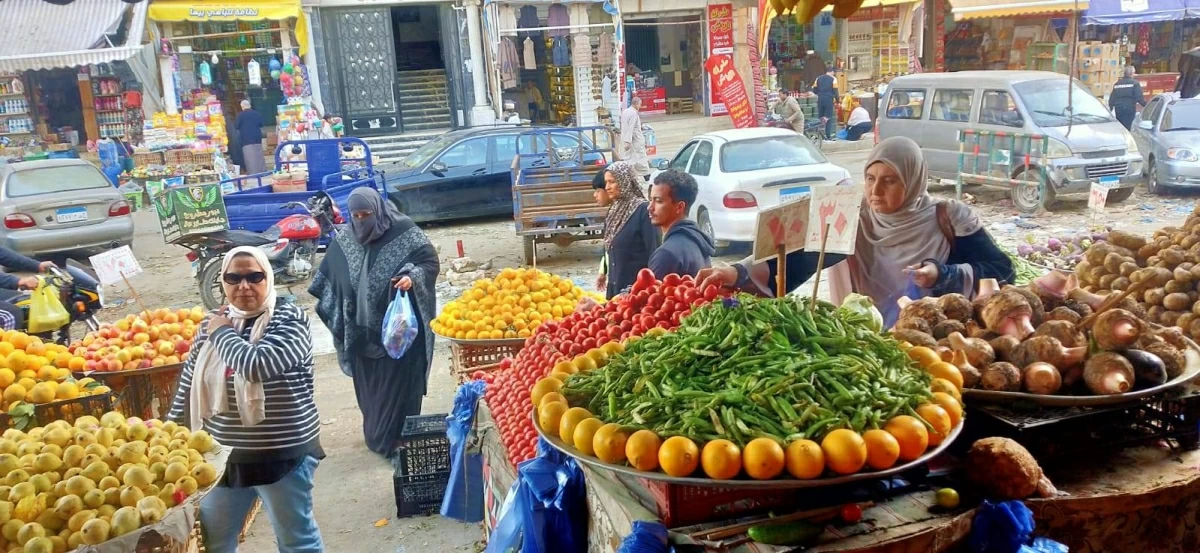 أسعار الخضروات اليوم السبت 18 يوليو 2026 في أسواق مطروح الطماطم بـ15 جنيه