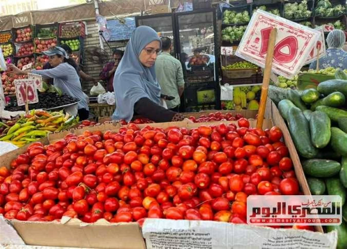 أسعار الطماطم والبطاطس والفواكه في أسواق الشرقية ليوم السبت 25 يوليو 2026