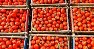 أسعار الخضروات في أسواق سوهاج اليوم الطماطم بـ10 والبصل بـ12.5 جنيه