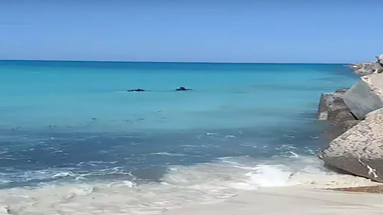 دليل أفضل الشواطئ المفتوحة في الساحل الشمالي
اكتشف أجمل الشواطئ المفتوحة بالساحل الشمالي
قائمة بأشهر الشواطئ المفتوحة في الساحل الشمالي لصيف مميز