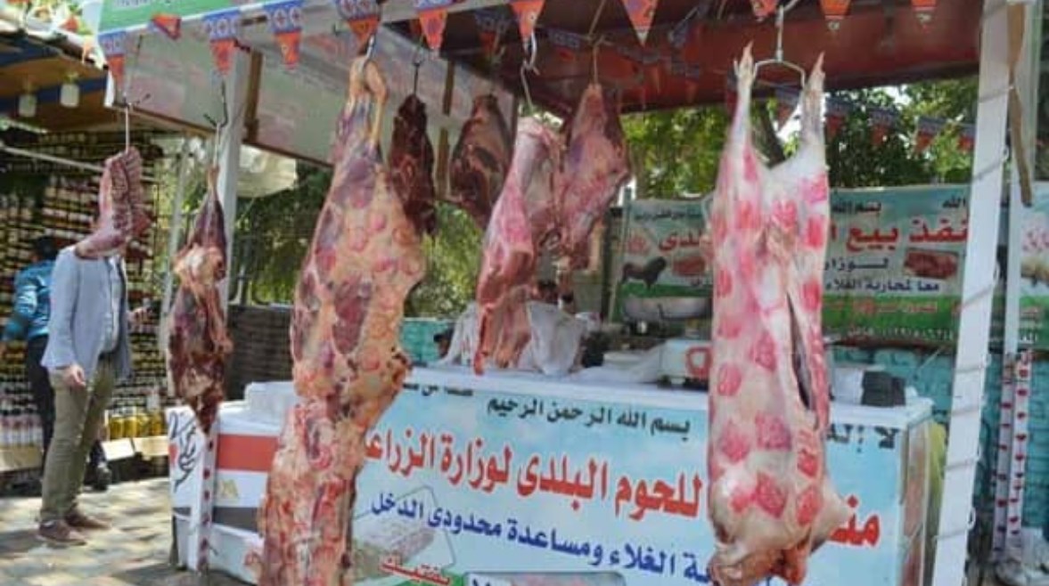 وزارة الزراعة تضخ نصف مليار جنيه لدعم مشروع البتلو في خطوة لخفض أسعار اللحوم