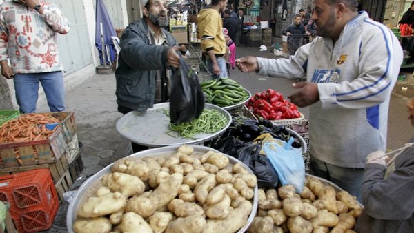 أسعار الخضروات اليوم الطماطم تبدأ من 75 جنيه والكوسة تصل إلى 20 جنيه