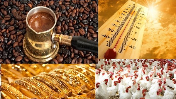 أخبار التوك شو| الحق اشتري الذهب قبل ما يغلى .. والدواجن بـ 59 جنيهًا.. والقهوة مفيدة للقلب والكبد ومفاجأة بشأن حالة الجو