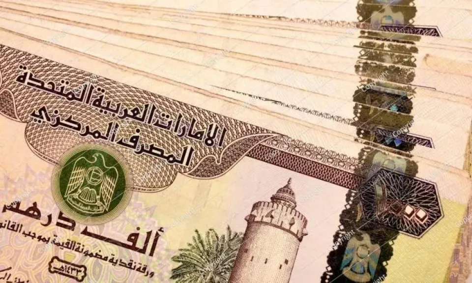 سعر الدرهم الإماراتي مقابل الجنية المصري اليوم الإثنين 13 يوليو 2026