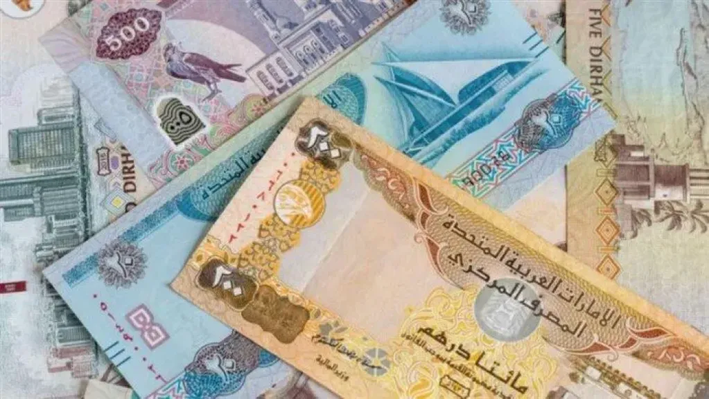 ارتفاع طفيف وهدوء بالأسواق.. أسعار صرف الدرهم الإماراتي مقابل الجنيه المصري اليوم الخميس