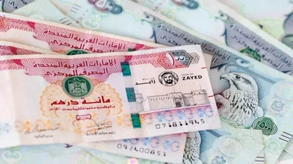 تراجع طفيف في أسعار صرف الدرهم الإماراتي أمام الجنيه المصري اليوم الجمعة