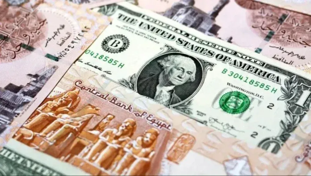 سعر الدولار مقابل الجنيه المصري في تعاملات اليوم الجمعة 31 يوليو 2026