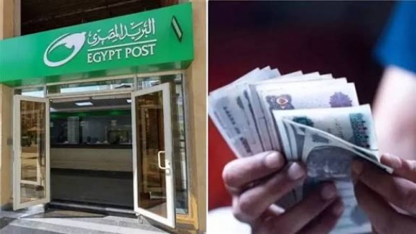 رابط الاستعلام عن تكافل وكرامة 2026 بالرقم القومي لمعرفة حالة البطاقة