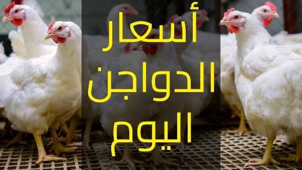 تحديث أسعار الدواجن والبيض اليوم الخميس وسعر البانيه يبدأ من 180 جنيها في الأسواق الآن