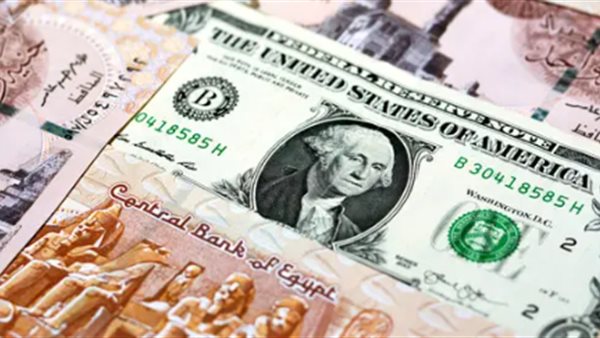 الدولار يتخطى 49 جنيها مجددا، هل يواصل الصعود في البنوك المصرية؟