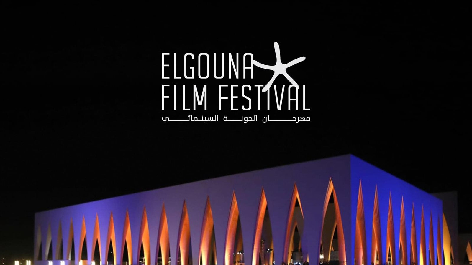 الجونة السينمائي يعزز منصة سيني جونة بقيادات جديدة.. تفاصيل